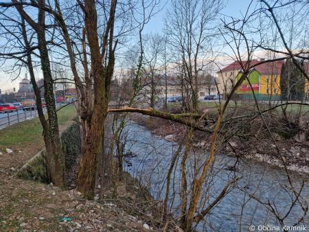 Odstranitev podrtega in poškodovanega drevja iz Nevljice in sotočja Kamniške Bistrice (1)
